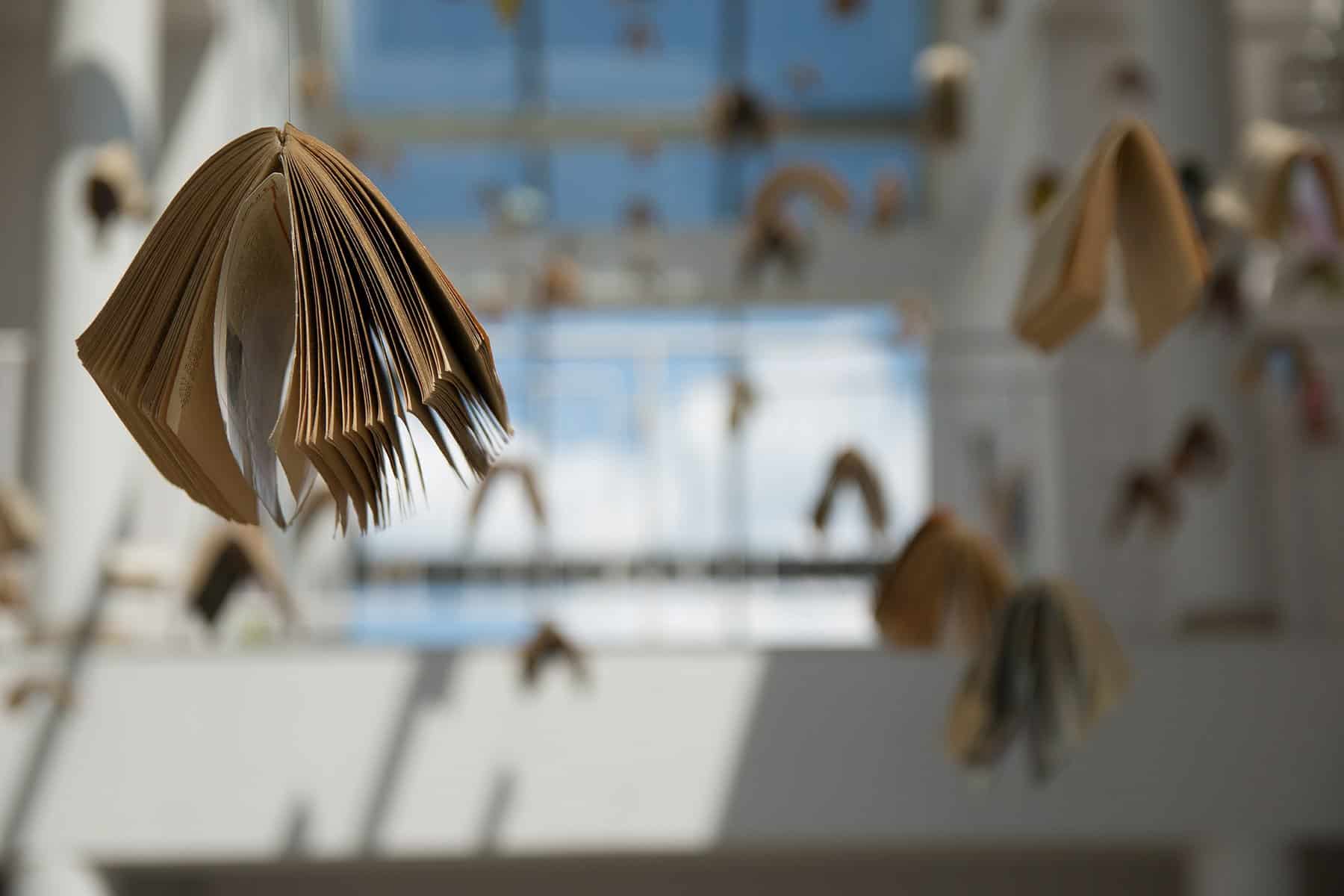 Kumulative Dissertation – der Weg zum Doktortitel geht auch anders