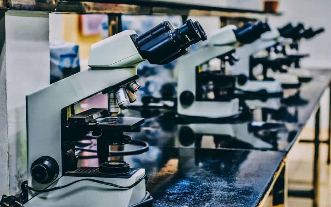 Tipps, die deine wissenschaftliche Arbeit erfolgreicher machen